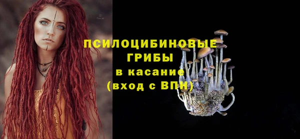 герыч Инта