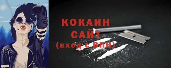 PSILOCYBIN Заволжье