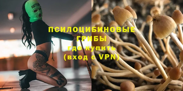 трава Зеленокумск