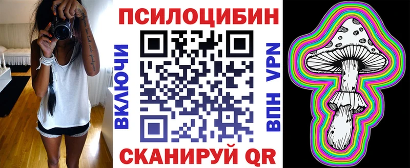 где можно купить наркотик  сайты даркнета состав  Псилоцибиновые грибы мицелий  Котельнич 